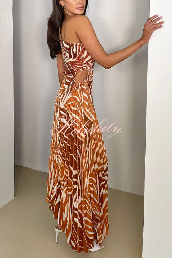 Elora Pleated Zebra Print One Shoulder Drawstring Cutout Maxi Dress