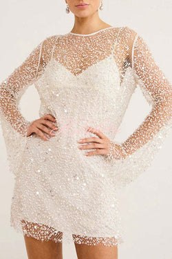 Sparkle and Shine Sequins and Pearls Fabric Mini Dress with Separate Slip