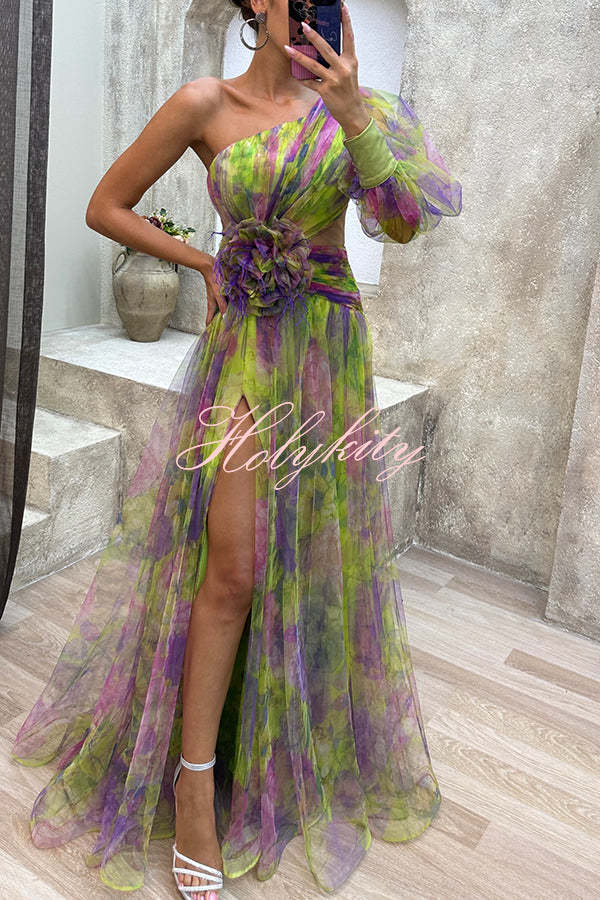 Picturesque Beauty Tulle Floral Pleated One Shoulder Sleeve Slit Maxi Dress