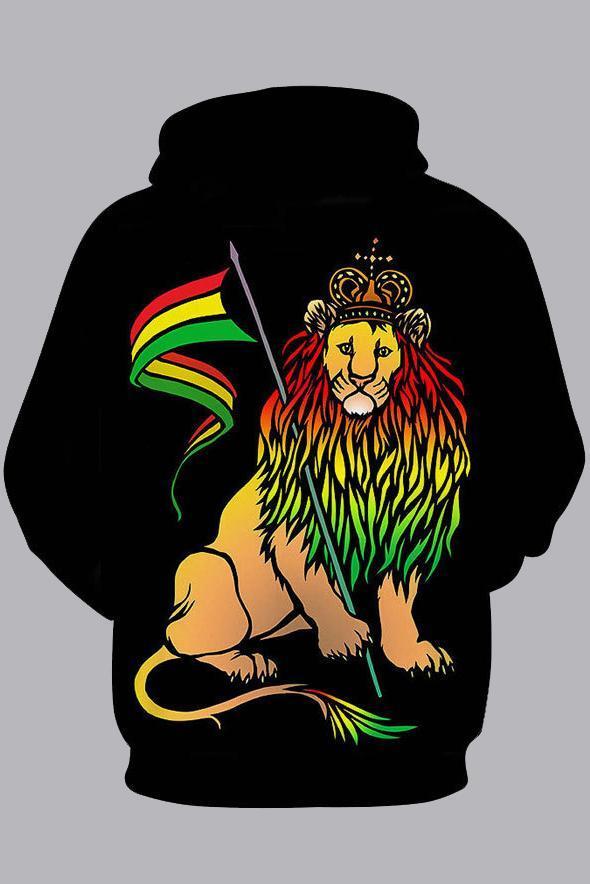 Street 3D Black Digital Lion Printed Hooded Sweatshirt