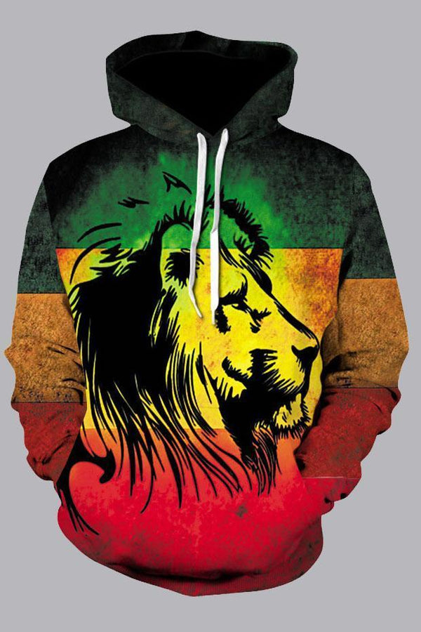 Street 3D Multicolor Digital Lion Printed Hooded Sweatshirt