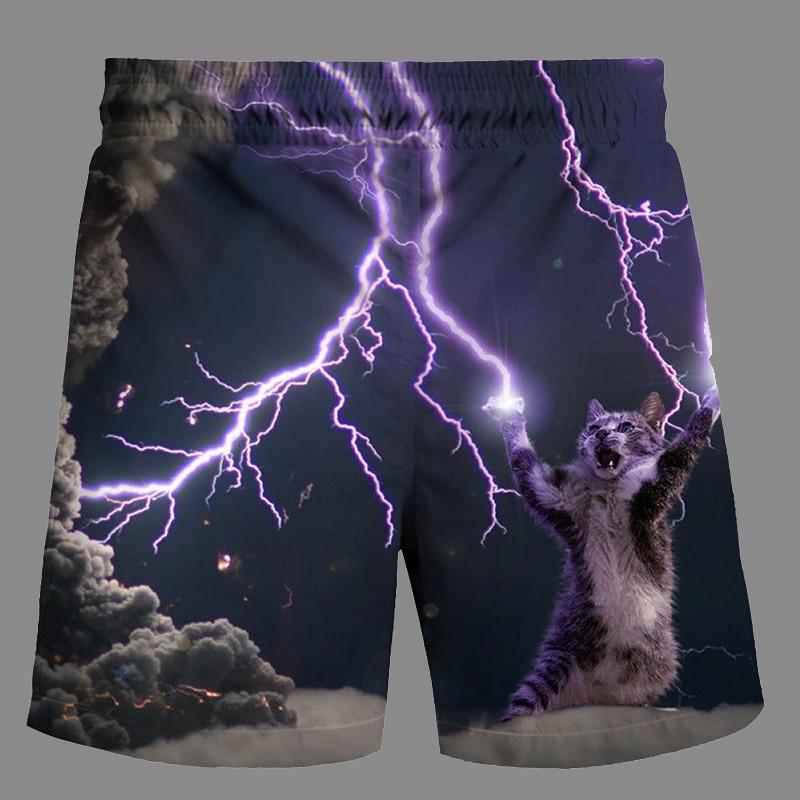 Casual   3D Cat Printed Loose Shorts